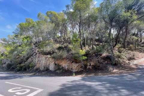 Terra a Altea, Alicante, Altea - € 349.000 | Ref: 4479 - foto 12