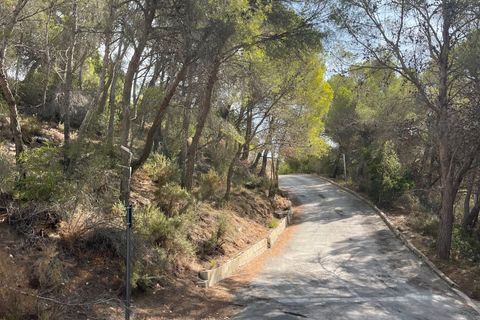 Terra a Altea, Alicante, Altea - € 349.000 | Ref: 4479 - foto 13