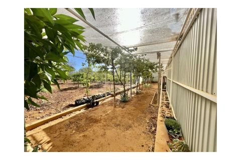 Farm i Guia, Faro, Guia - € 1.200.000 | Ref: QUI-2705 - foto 19