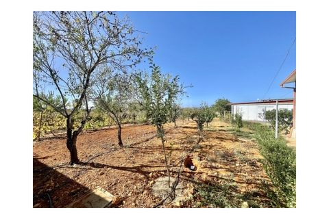 Farm i Guia, Faro, Guia - € 1.200.000 | Ref: QUI-2705 - foto 20