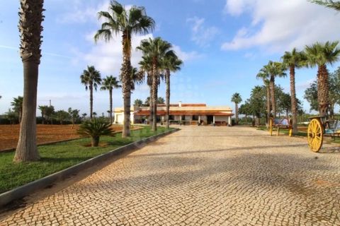 Farm i Guia, Faro, Guia - € 1.200.000 | Ref: QUI-2705 - foto 12