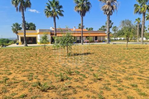 Farm i Guia, Faro, Guia - € 1.200.000 | Ref: QUI-2705 - foto 36