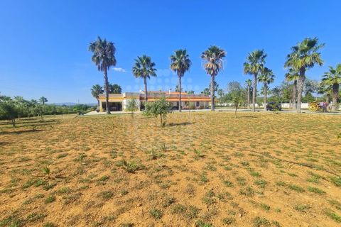 Farm i Guia, Faro, Guia - € 1.200.000 | Ref: QUI-2705 - foto 41