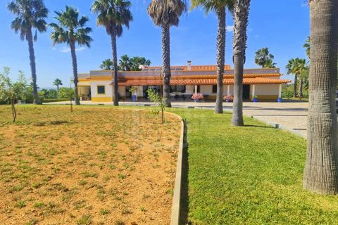 Farm i Guia, Faro, Guia - € 1.200.000 | Ref: QUI-2705 - foto 42