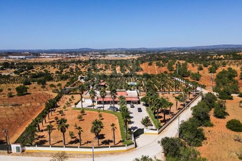 Farm i Guia, Faro, Guia - € 1.200.000 | Ref: QUI-2705 - foto 1