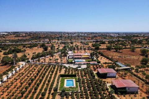 Farm i Guia, Faro, Guia - € 1.200.000 | Ref: QUI-2705 - foto 2
