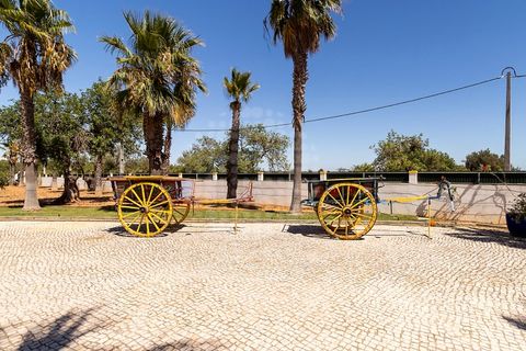 Farm i Guia, Faro, Guia - € 1.200.000 | Ref: QUI-2705 - foto 11