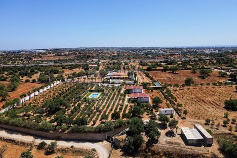 Farm i Guia, Faro, Guia - € 1.200.000 | Ref: QUI-2705 - foto 46