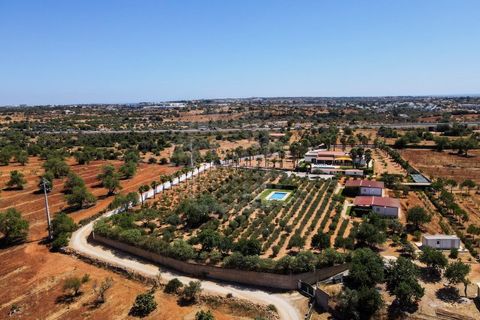 Farm i Guia, Faro, Guia - € 1.200.000 | Ref: QUI-2705 - foto 47