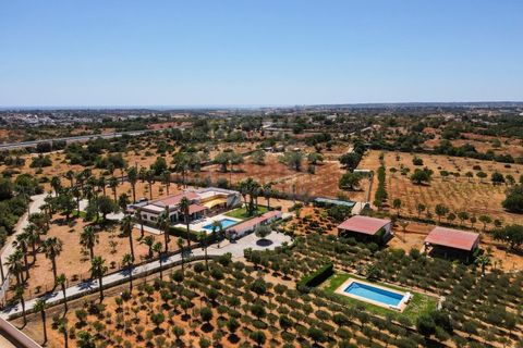 Farm i Guia, Faro, Guia - € 1.200.000 | Ref: QUI-2705 - foto 48