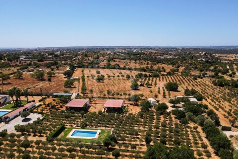 Farm i Guia, Faro, Guia - € 1.200.000 | Ref: QUI-2705 - foto 49