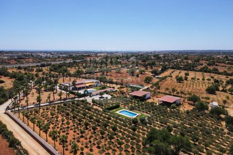 Farm i Guia, Faro, Guia - € 1.200.000 | Ref: QUI-2705 - foto 50