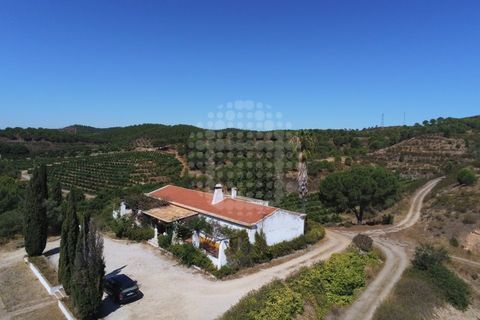 Landejendom i Silves, Faro, Silves - € 7.900.000 | Ref: H-2944P - foto 2