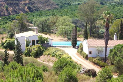 Landejendom i Silves, Faro, Silves - € 7.900.000 | Ref: H-2944P - foto 3
