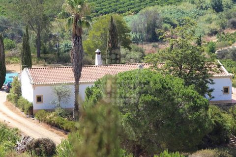 Landejendom i Silves, Faro, Silves - € 7.900.000 | Ref: H-2944P - foto 4