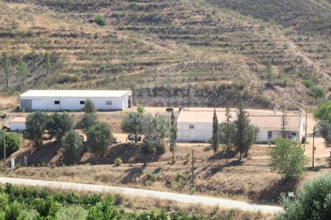 Landejendom i Silves, Faro, Silves - € 7.900.000 | Ref: H-2944P - foto 6