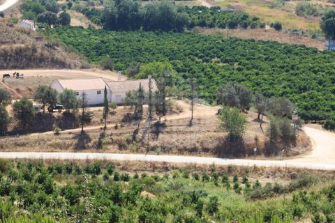 Landejendom i Silves, Faro, Silves - € 7.900.000 | Ref: H-2944P - foto 7