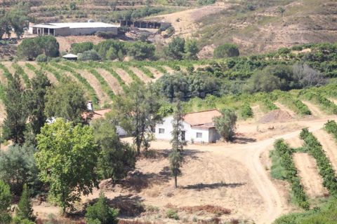 Landejendom i Silves, Faro, Silves - € 7.900.000 | Ref: H-2944P - foto 8