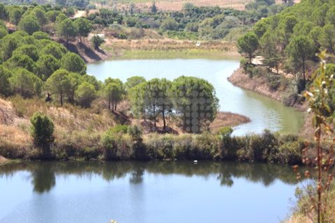 Landejendom i Silves, Faro, Silves - € 7.900.000 | Ref: H-2944P - foto 9