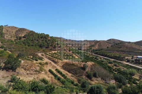 Landejendom i Silves, Faro, Silves - € 7.900.000 | Ref: H-2944P - foto 11