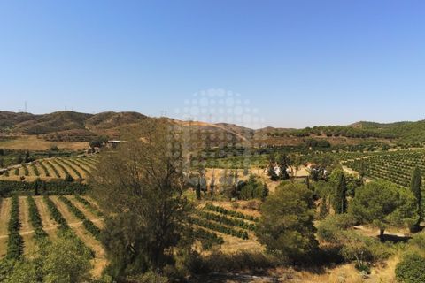 Landejendom i Silves, Faro, Silves - € 7.900.000 | Ref: H-2944P - foto 12