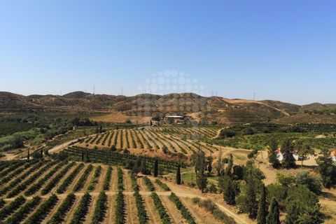 Landejendom i Silves, Faro, Silves - € 7.900.000 | Ref: H-2944P - foto 13