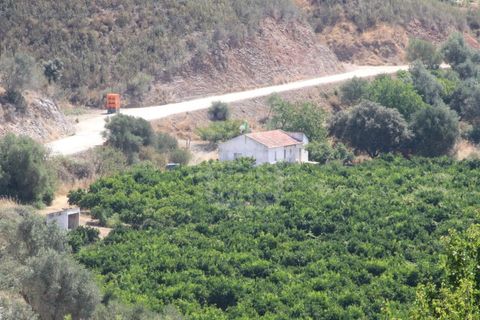 Landejendom i Silves, Faro, Silves - € 7.900.000 | Ref: H-2944P - foto 15