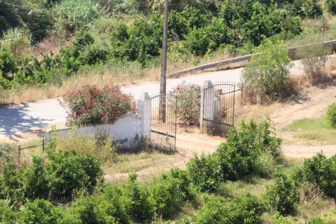 Landejendom i Silves, Faro, Silves - € 7.900.000 | Ref: H-2944P - foto 16