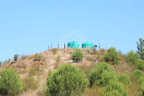 Landejendom i Silves, Faro, Silves - € 7.900.000 | Ref: H-2944P - foto 17