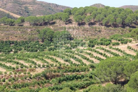 Landejendom i Silves, Faro, Silves - € 7.900.000 | Ref: H-2944P - foto 18