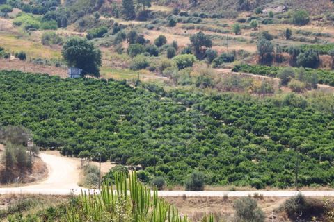 Landejendom i Silves, Faro, Silves - € 7.900.000 | Ref: H-2944P - foto 19