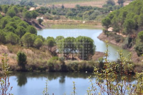 Landejendom i Silves, Faro, Silves - € 7.900.000 | Ref: H-2944P - foto 21