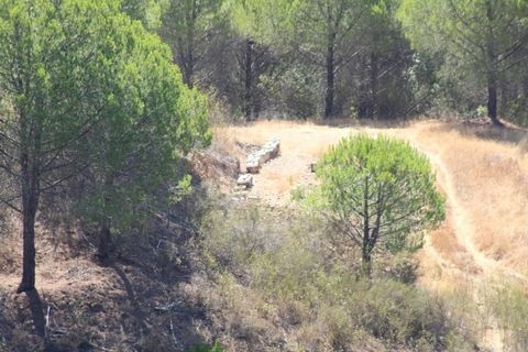 Landejendom i Silves, Faro, Silves - € 7.900.000 | Ref: H-2944P - foto 22