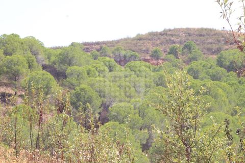 Landejendom i Silves, Faro, Silves - € 7.900.000 | Ref: H-2944P - foto 23