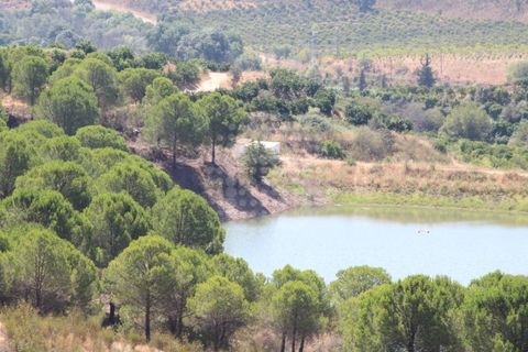 Landejendom i Silves, Faro, Silves - € 7.900.000 | Ref: H-2944P - foto 24