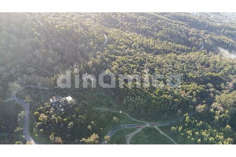 Farm i Guimaraes, Braga, Guimaraes - € 1.000.000 | Ref: 1976 - foto 3