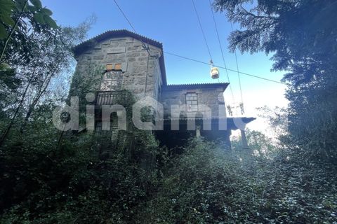 Farm i Guimaraes, Braga, Guimaraes - € 1.000.000 | Ref: 1976 - foto 4