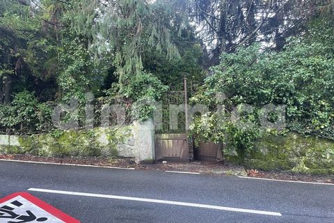 Farm i Guimaraes, Braga, Guimaraes - € 1.000.000 | Ref: 1976 - foto 7