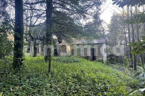 Farm i Guimaraes, Braga, Guimaraes - € 1.000.000 | Ref: 1976 - foto 8