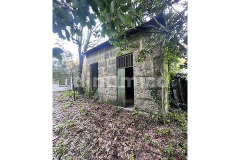 Farm i Guimaraes, Braga, Guimaraes - € 1.000.000 | Ref: 1976 - foto 9