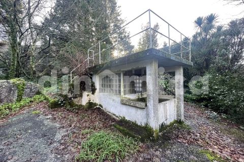 Farm i Guimaraes, Braga, Guimaraes - € 1.000.000 | Ref: 1976 - foto 11