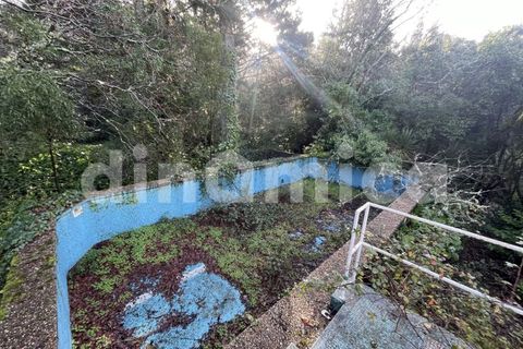 Farm i Guimaraes, Braga, Guimaraes - € 1.000.000 | Ref: 1976 - foto 12