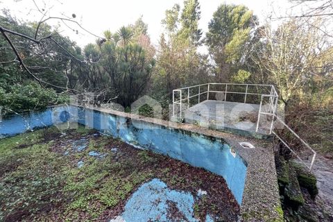 Farm i Guimaraes, Braga, Guimaraes - € 1.000.000 | Ref: 1976 - foto 13