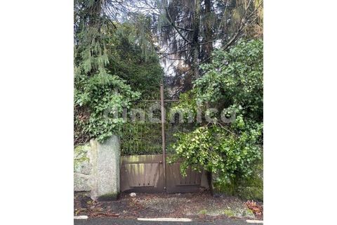 Farm i Guimaraes, Braga, Guimaraes - € 1.000.000 | Ref: 1976 - foto 17