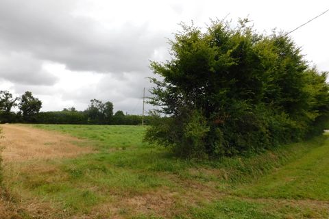 Tomt i Trebrivan, Cotes-d'Armor, Trebrivan - € 49 500 | Ref: 6551 - foto 2