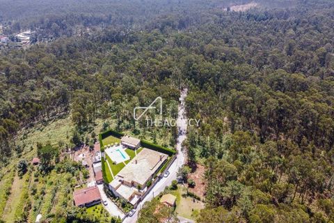 Villa i Barcelos, Braga, Barcelos - € 1.315.000 | Ref: TAPT01-915_ST - foto 7