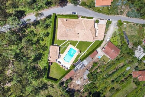 Villa i Barcelos, Braga, Barcelos - € 1.315.000 | Ref: TAPT01-915_ST - foto 10