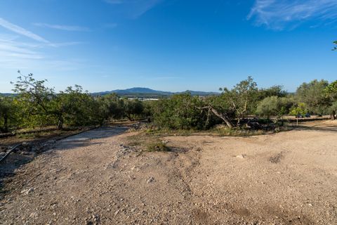 Finca i Tortosa, Tarragona, Tortosa - € 95.000 | Ref: 121 - foto 36