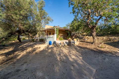 Finca i Tortosa, Tarragona, Tortosa - € 95.000 | Ref: 121 - foto 22