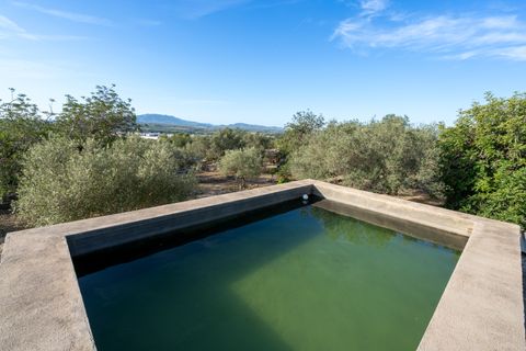 Finca i Tortosa, Tarragona, Tortosa - € 95.000 | Ref: 121 - foto 31
